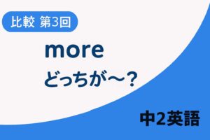 中2英語　比較級③　moreとwhichの使い方　