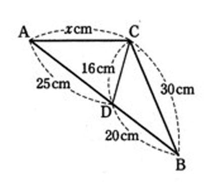 相似な三角形の見つけからC0